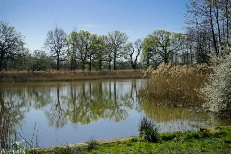 Hospoda-Ferienhaus Am Olba-See Malschwitz ภายนอก รูปภาพ